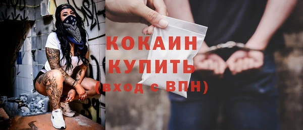 прущая мука Вяземский