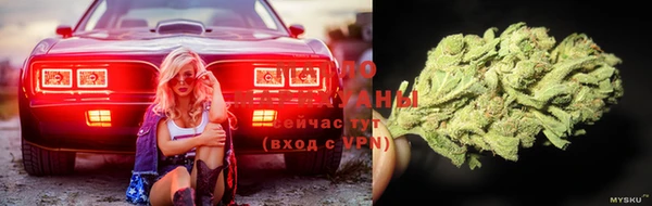 прущая мука Вяземский