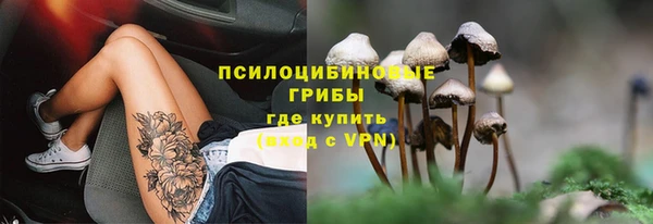 прущая мука Вяземский
