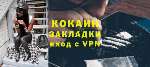 прущая мука Вяземский