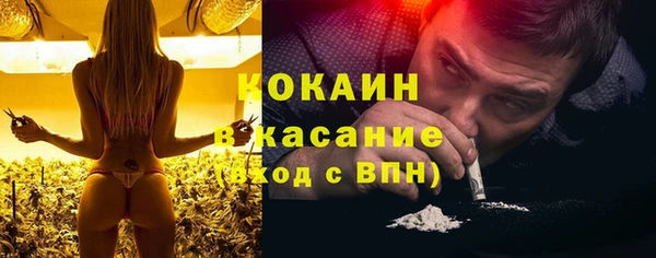 прущая мука Вяземский