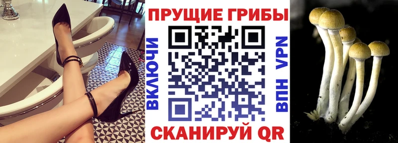 Псилоцибиновые грибы прущие грибы Мариинск